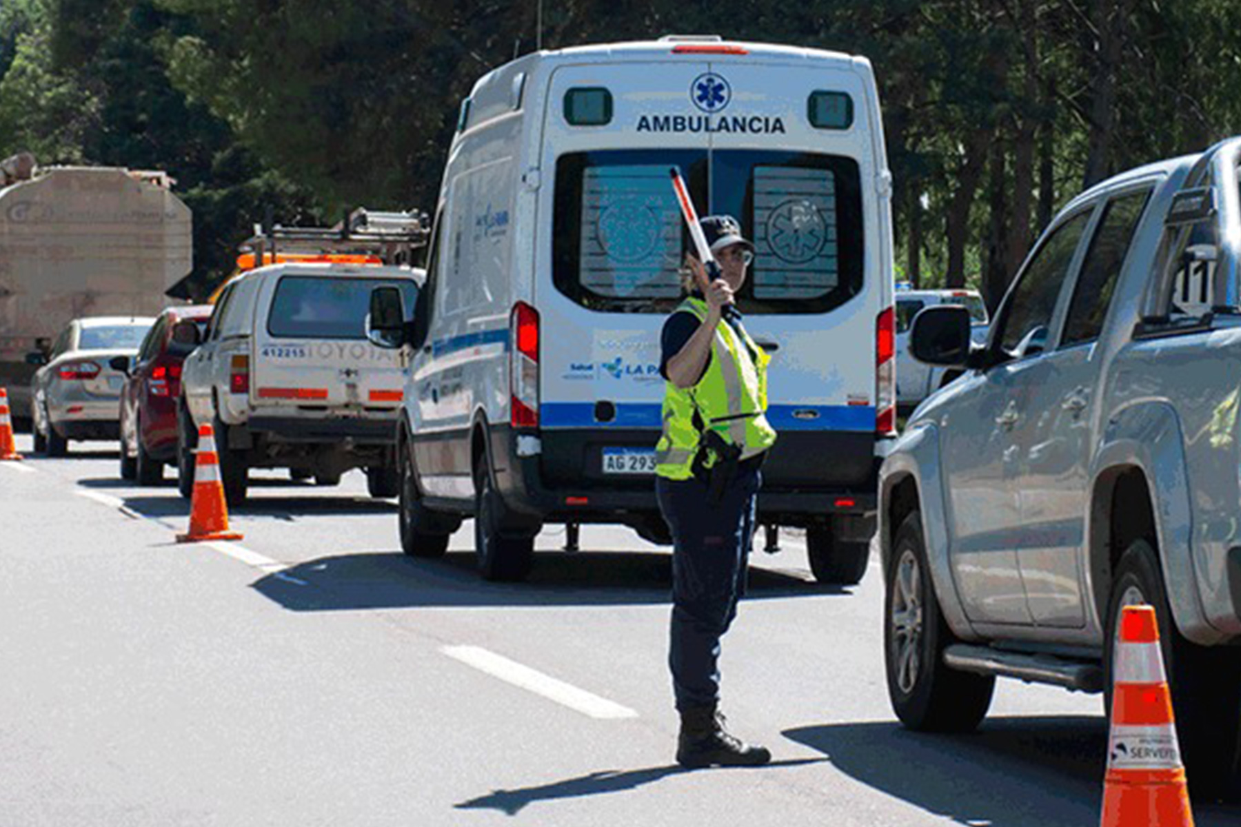 Licencia Única De Conducir